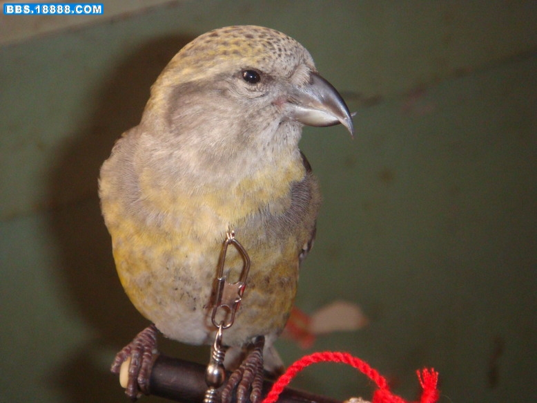 DSC09808_缩小大小.JPG