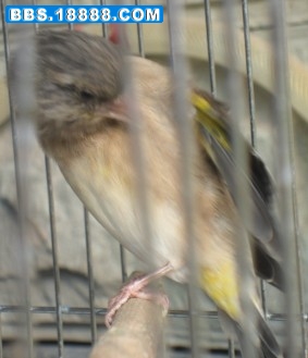 YREEDUMVB[NS`92OI5K$KDL.jpg