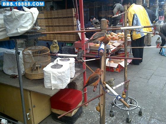 201110301884.jpg