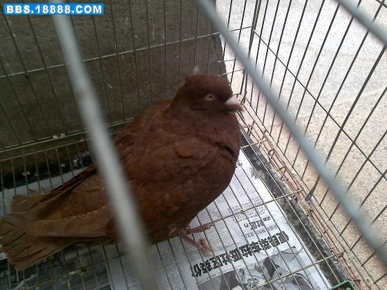 201110301887.jpg