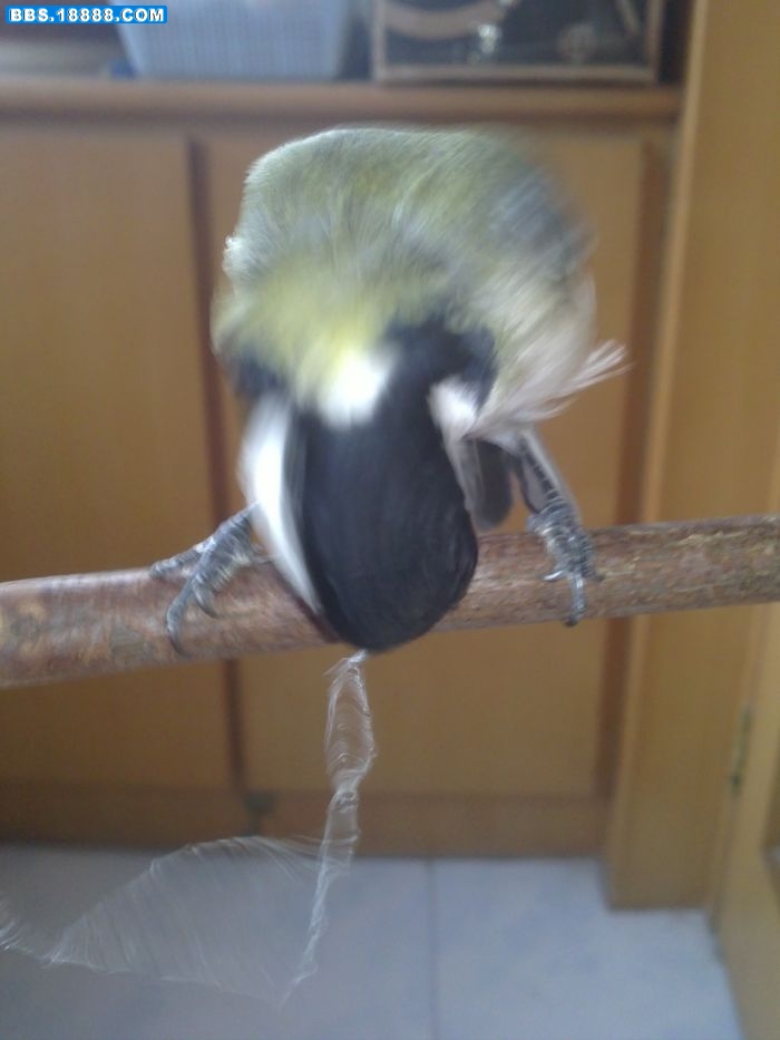 20111120200.jpg
