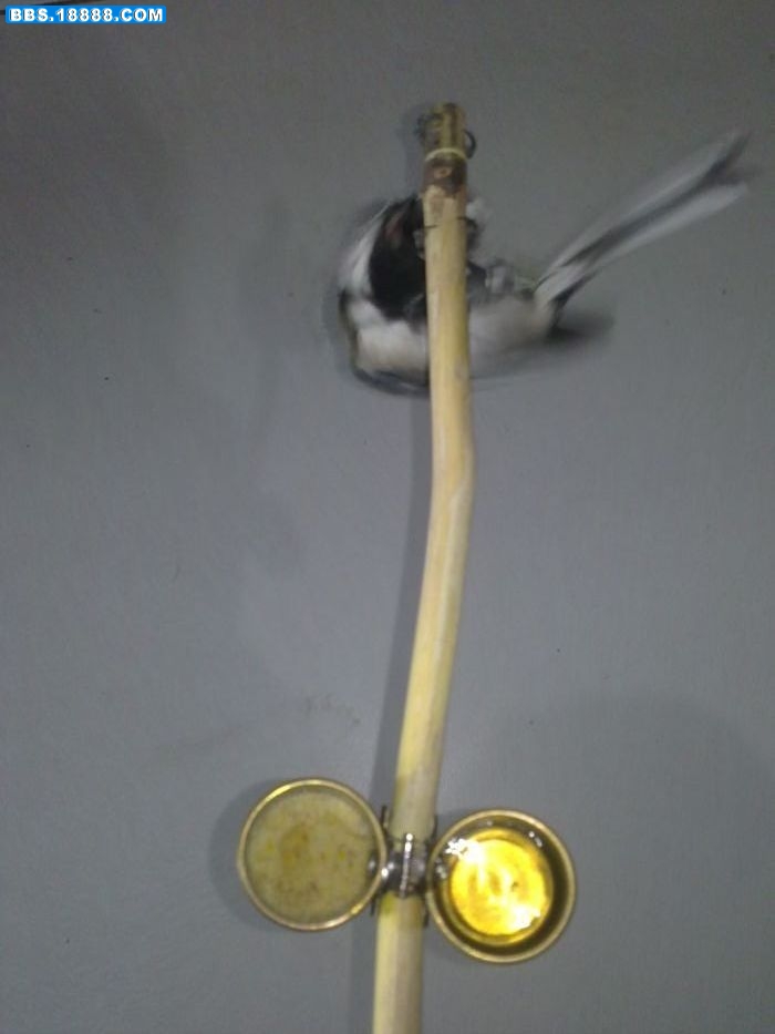20111120196.jpg