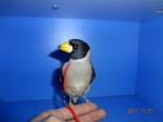 DSC00821~1.jpg