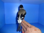 DSC00817~1.jpg
