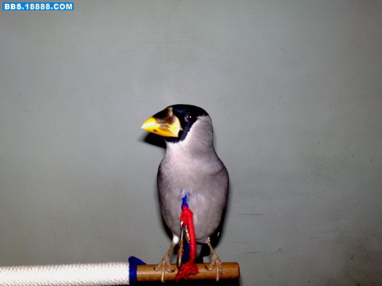 20111101856.jpg