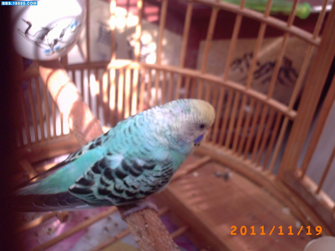 调整大小 PICT0022.JPG