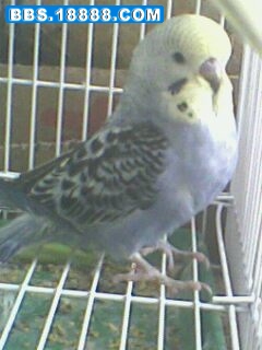 IMG3409A.jpg