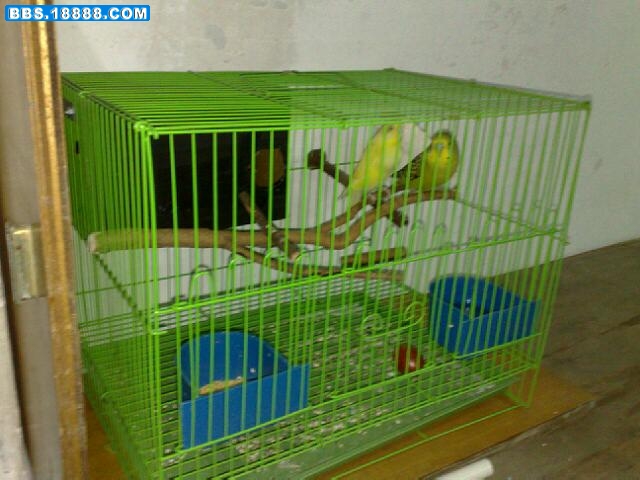 20111008846.jpg