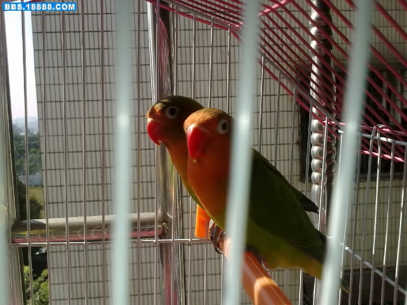 20111127247.jpg