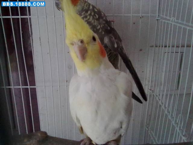 20111118227.jpg
