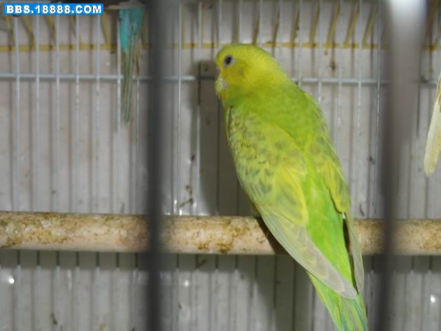 调整大小 DSC00310.JPG