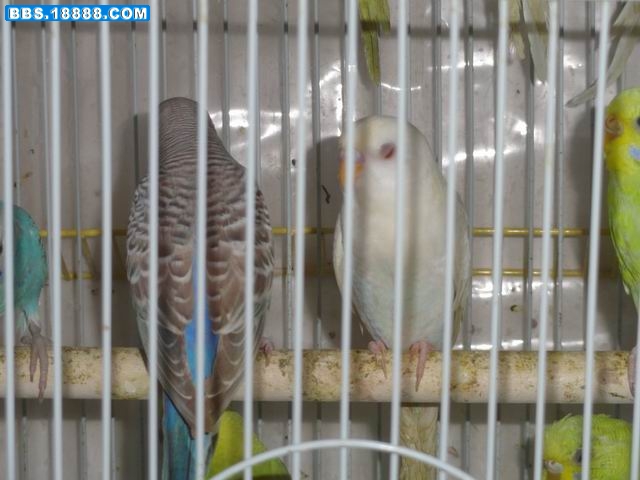 调整大小 DSC00311.JPG