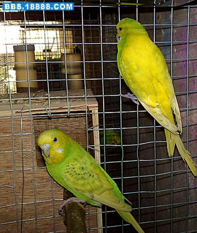 20110528248_副本.jpg