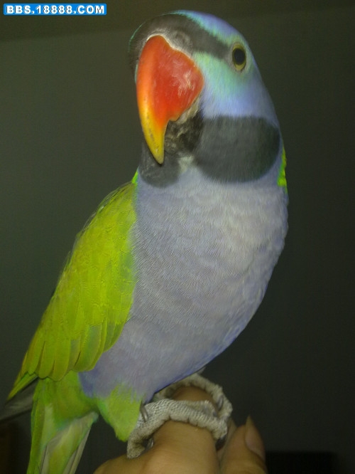 201111081121.jpg