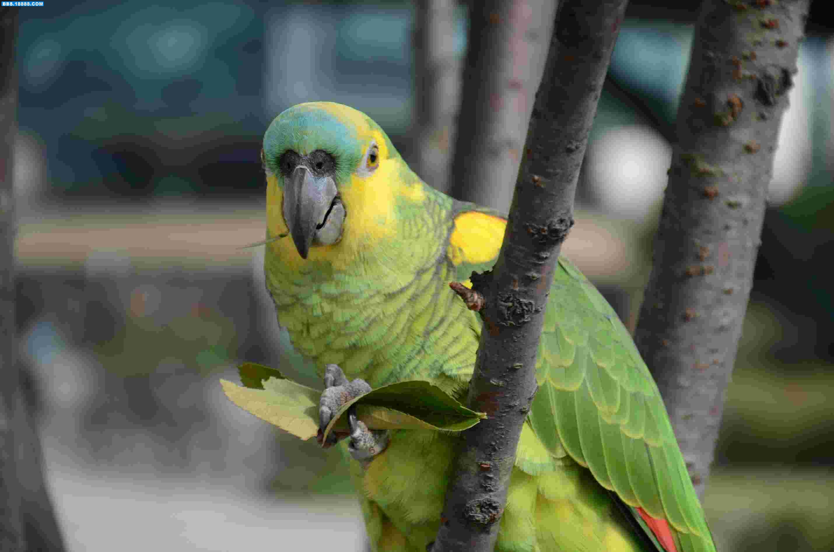 DSC_1917.jpg