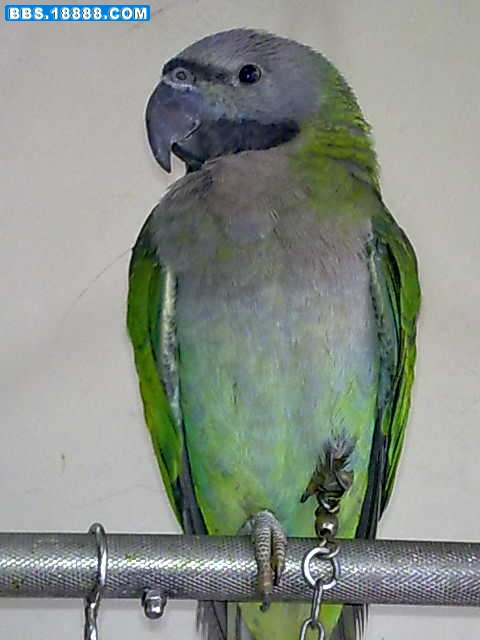 20111108113.jpg
