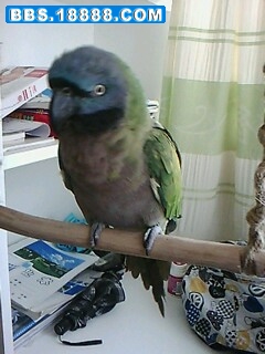 IMG0032A.jpg