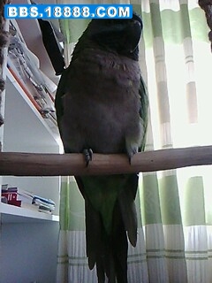 IMG0042A.jpg