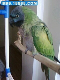 IMG0041A.jpg