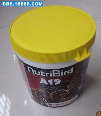 14.JPG