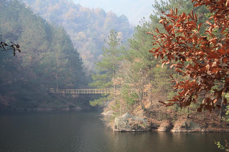 图6.JPG