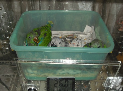 2011-11-09-2.jpg