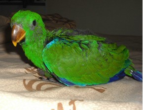 2011-11-15.jpg