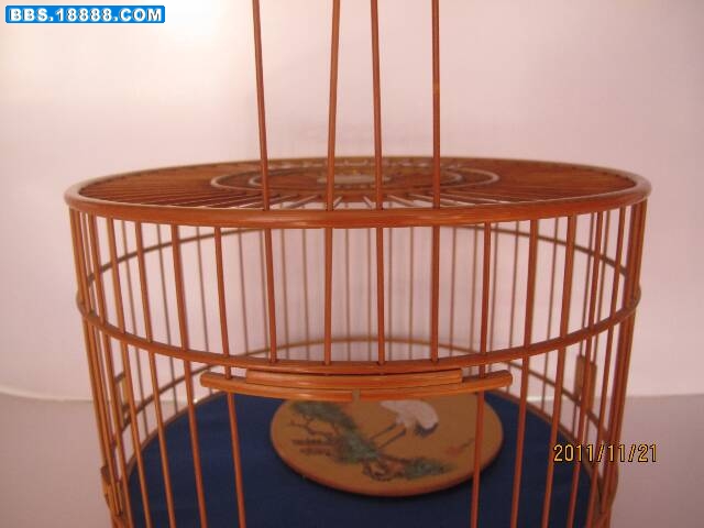照片 473.jpg