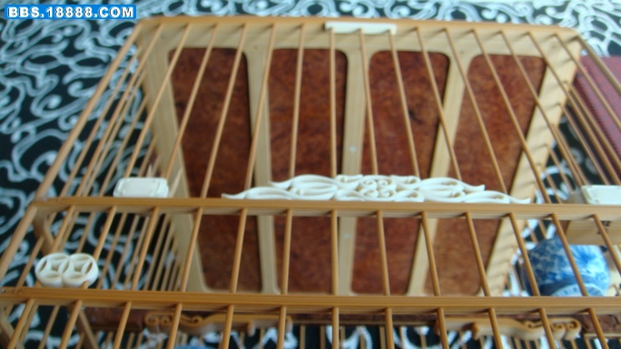 DSC04610_调整大小.JPG