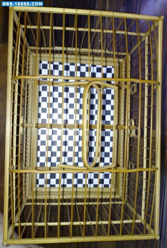 照片 256.jpg