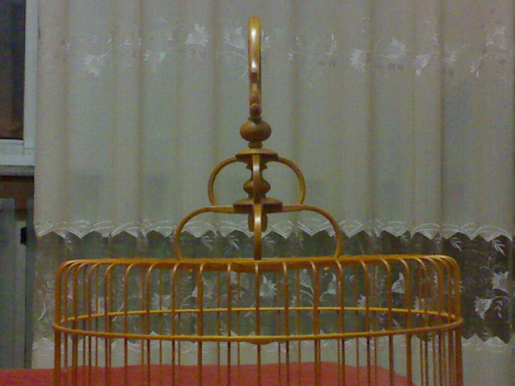 20111115346.jpg