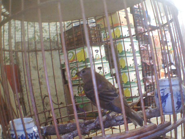图片 016.jpg