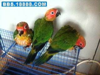 DSC_0000331.jpg