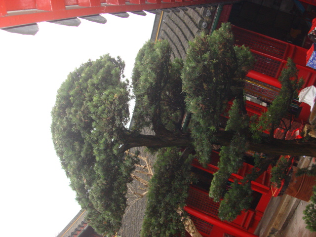DSC02344.JPG