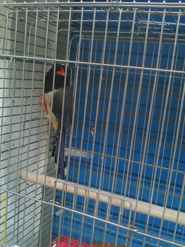 IMAG0077.jpg
