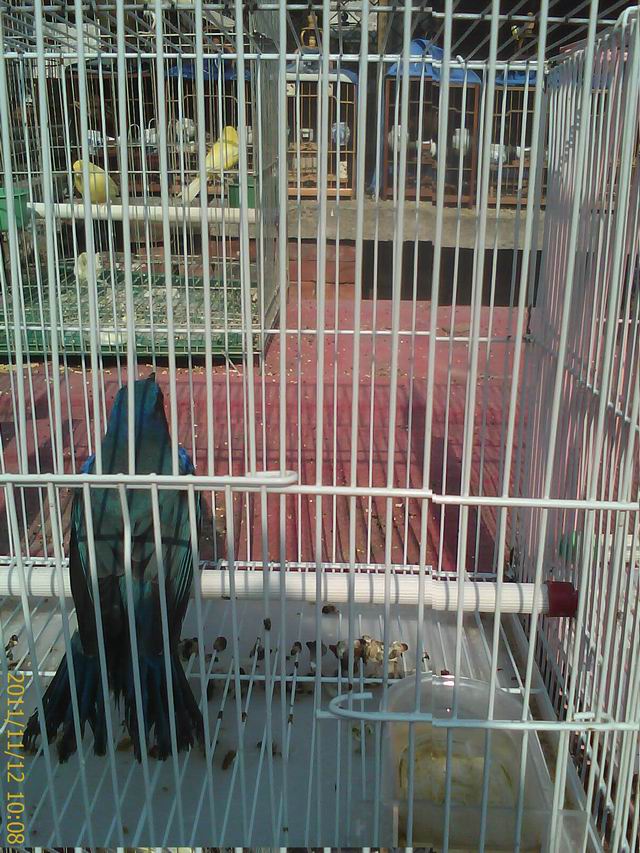 IMAG0088.jpg