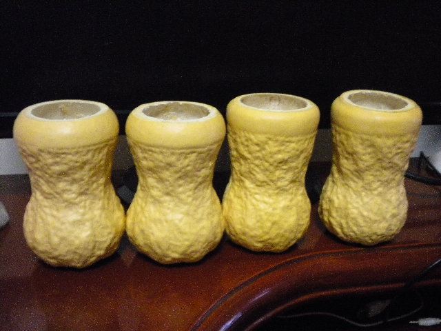 DSCN1383.JPG