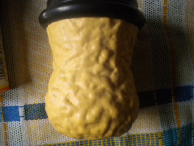 DSCN1825.JPG