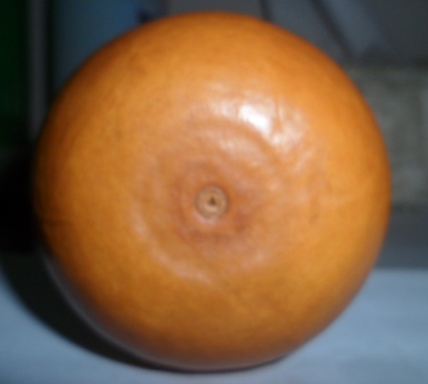 K1TW7{5(S4}~WCS%UJH`FMO.jpg