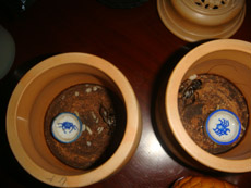 DSC05124副.jpg