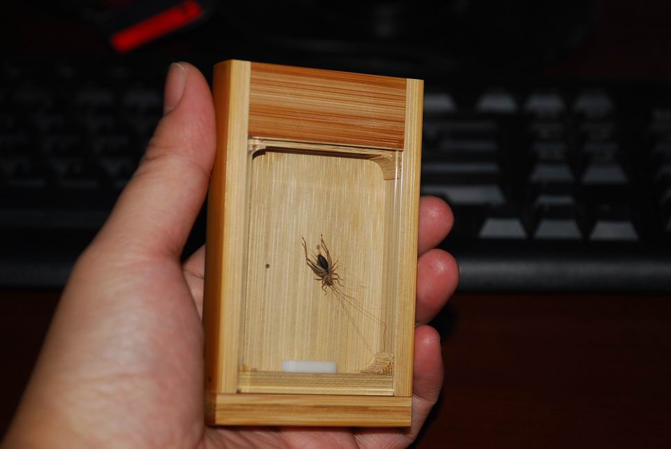 DSC_0007.JPG