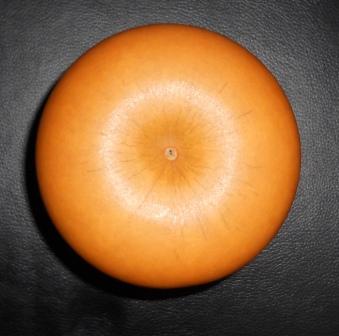 DSCN2447-1.JPG