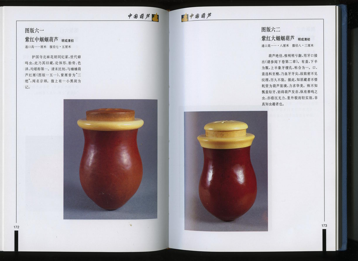 File0088.jpg