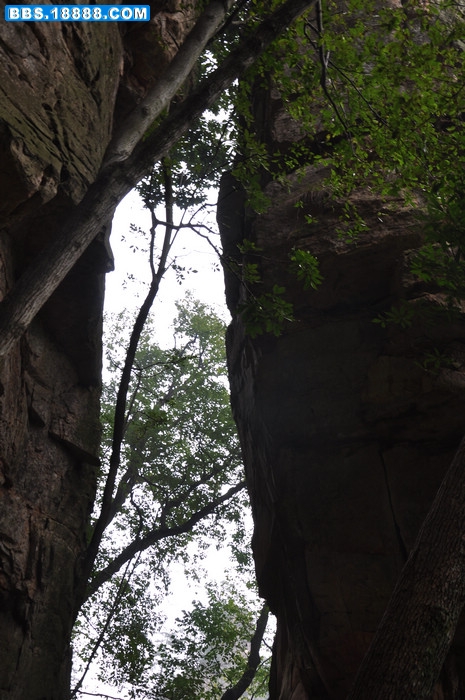 DSC_0860.JPG