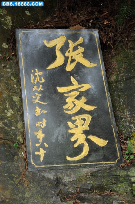 DSC_0908.JPG