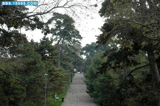 DSC_2311.JPG