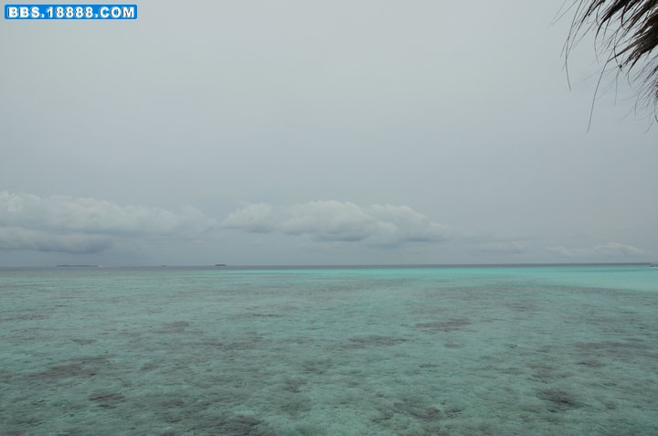 DSC_3817.jpg