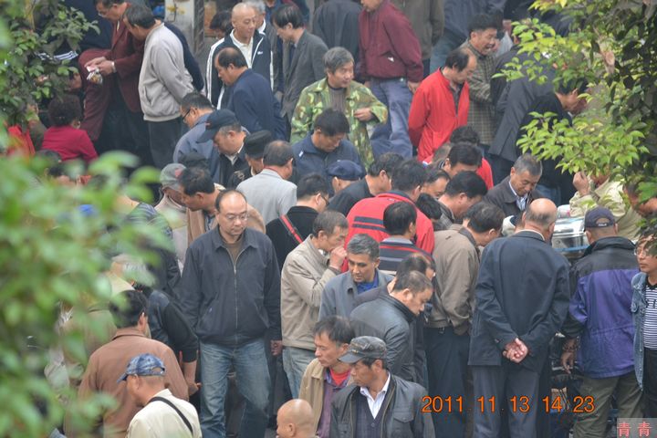 nEO_IMG_松江醉白池 112.jpg