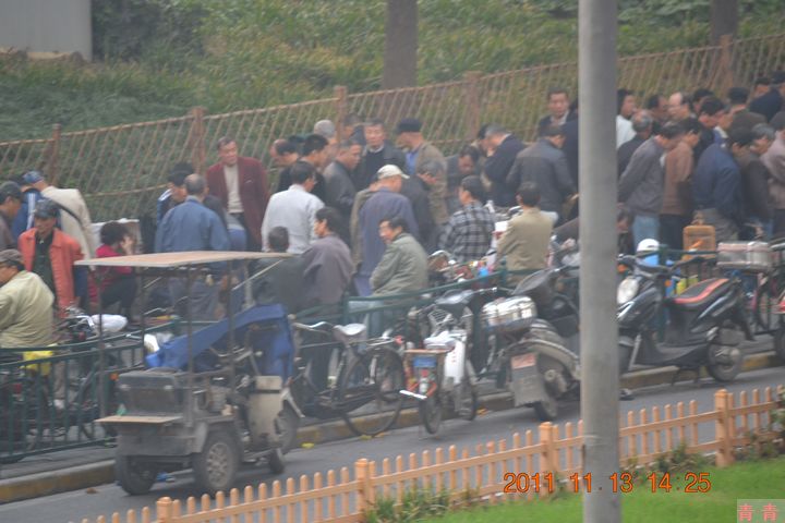 nEO_IMG_松江醉白池 130.jpg