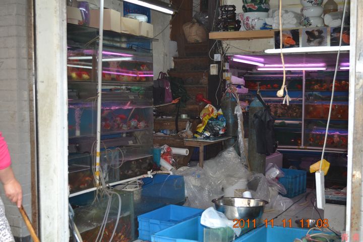 nEO_IMG_江阴路市场 050.jpg